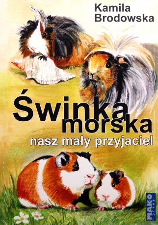 Świnka morska nasz mały przyjaciel - Kamila Brodowska [KSIĄŻKA]
