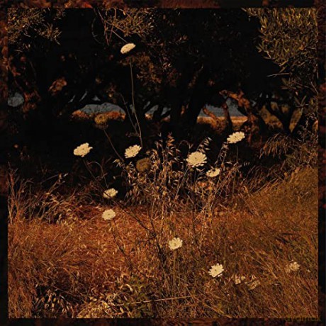 Szun Waves: Earth Patterns [CD]