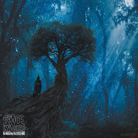 Space Invaders: Garden Of The Wizard [CD]