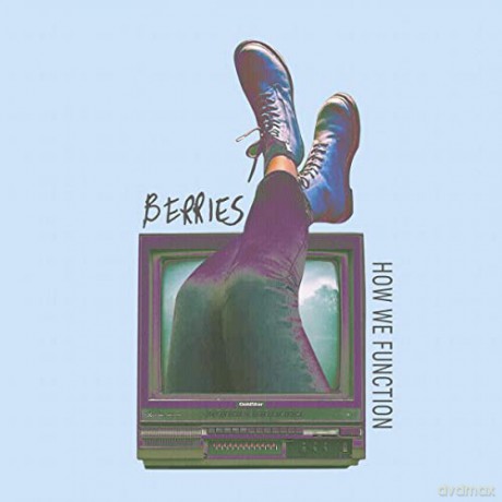 Berries: How We Function [CD]