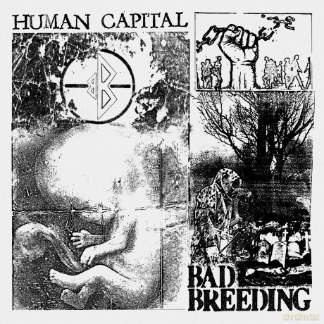 Bad Breeding: Human Capital [CD]