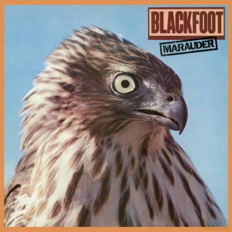Blackfoot: Marauder [CD]