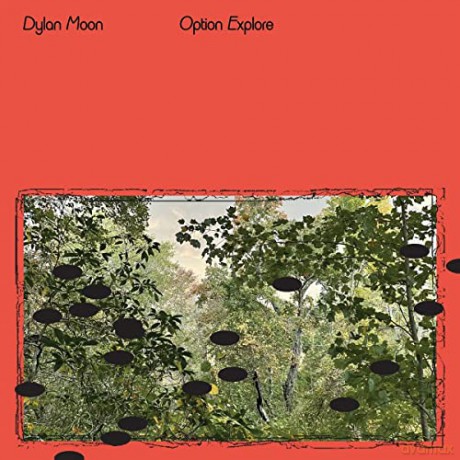Dylan Moon: Option Explore [CD]