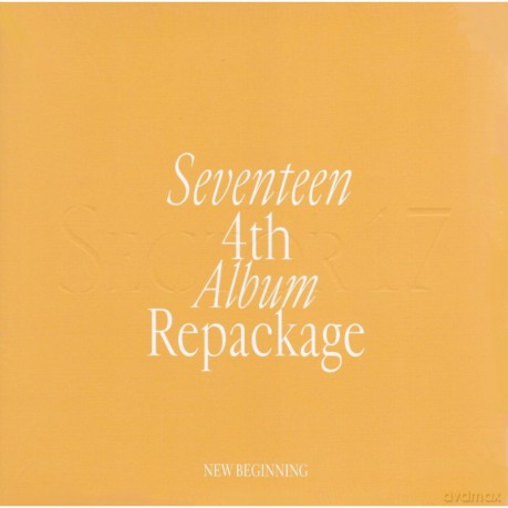 Seventeen: Sector 17 [CD]