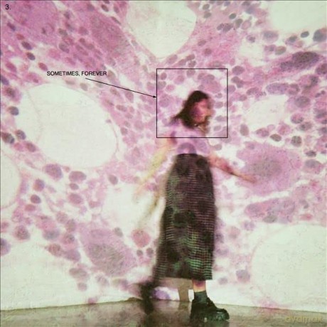 Soccer Mommy: Sometimes. Forever [CD]