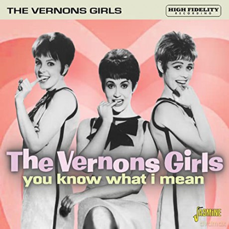 Vernons Girls: You Know What I Mean [CD]