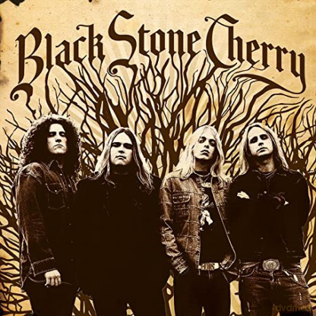Black Stone Cherry: Black Stone Cherry [Winyl]