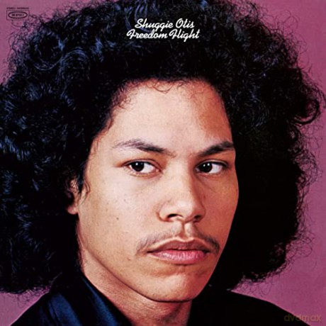 Shuggie Otis: Freedom Flight [Winyl]