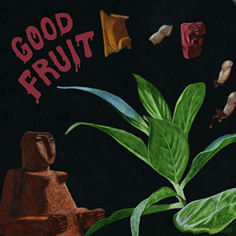 Teen: Good Fruit [Winyl]
