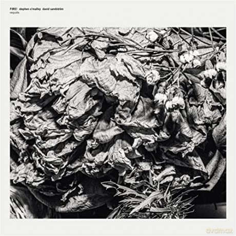 Fire! With Stephen Omalley And David Sandstrom: Requires [Winyl]