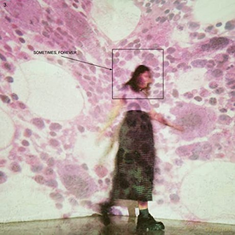Soccer Mommy: Sometimes. Forever [Winyl]