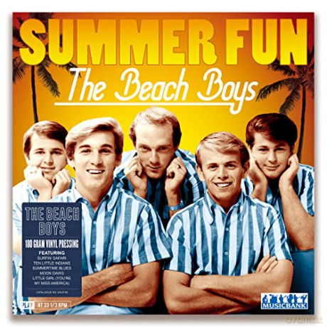 Beach Boys: Summer Fun [Winyl]
