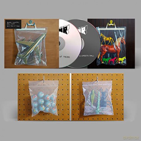 Black Country New Road: Ants From Up There [2CD]
