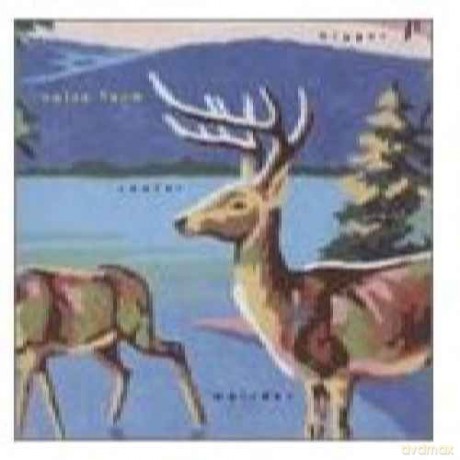 Voice Farm: Bigger Cooler Weirder [CD]