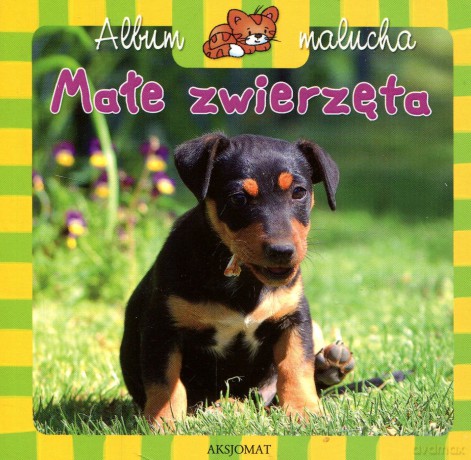 Album malucha - Małe zwierzęta [KSIĄŻKA]