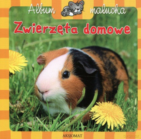 Album malucha - Zwierzęta domowe [KSIĄŻKA]