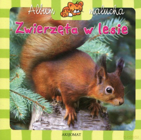 Album malucha - Zwierzęta w lesie [KSIĄŻKA]