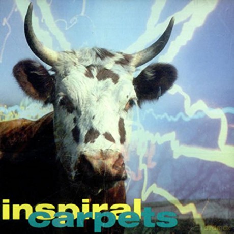 Inspiral Carpets: Commercial Rain [CD]