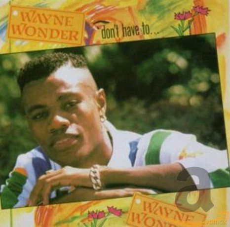 Wayne Wonder: Dont Have To [CD]
