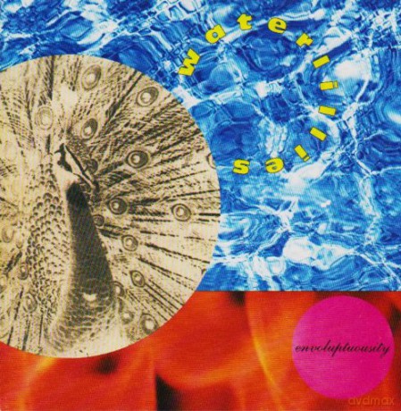 Waterlilies: Envoluptuosity [CD]