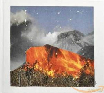 Wu Lyf: Go Tell Fire To The Mountain [CD]