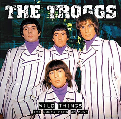 Troggs: Godfathers of Punk [CD]