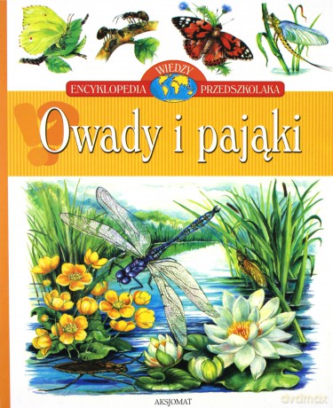 Owady i pająki - Encyklopedia wiedzy przedszkolaka [KSIĄŻKA]