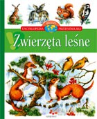 Zwierzęta leśne - Encyklopedia wiedzy przedszkolaka [KSIĄŻKA]