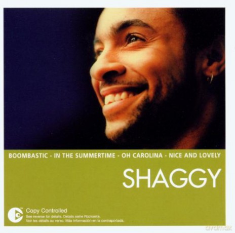 Shaggy: The Essential Shaggy [CD]