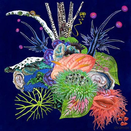 O O: Touche [CD]