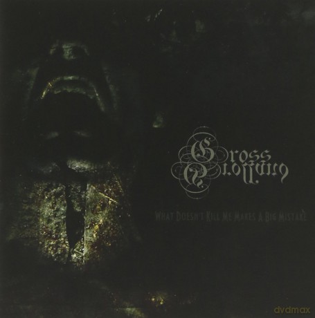 Gross Grolland: What Doesn't Kill Me Make A Big Mistake [CD]