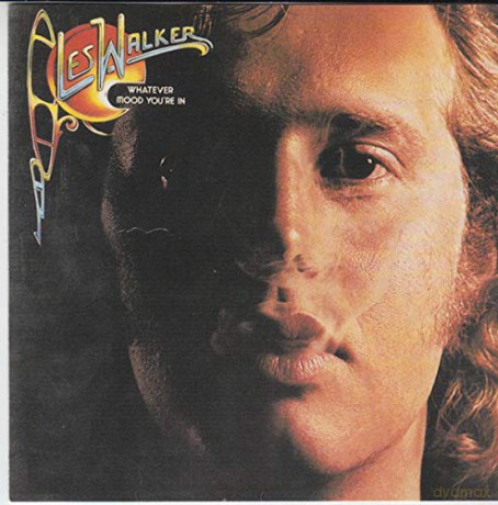 Les Walker: Whatever Mood You'Re In [CD]