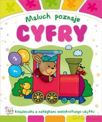 Maluch poznaje cyfry [KSIĄŻKA]