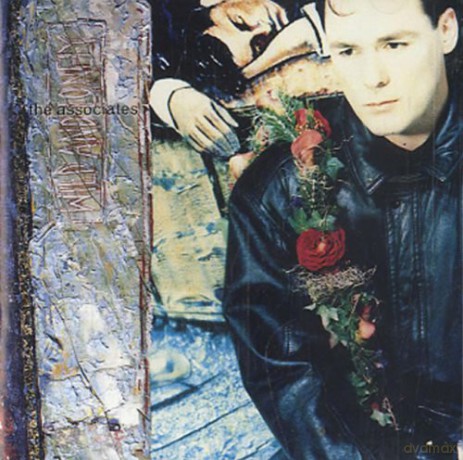 Associates: Wild And Lonely Cd Uk Circa 1990 [CD]