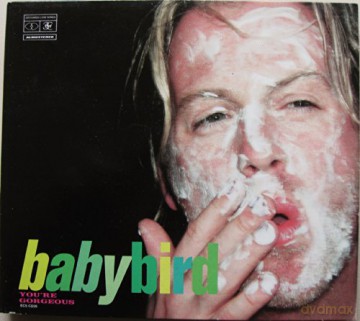 Babybird: You Re Gorgeous [CD]