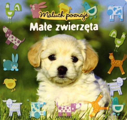 Maluch poznaje- Małe zwierzęta [KSIĄŻKA]