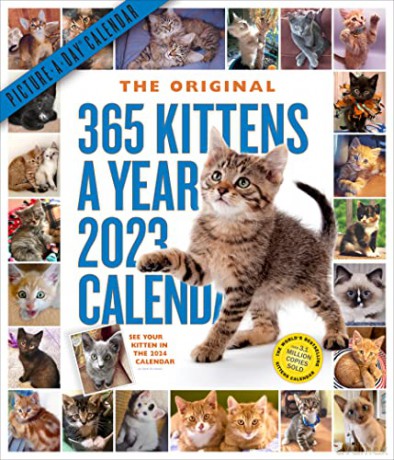 365 Kittens-A-Year Picture-A-Day Wall Calendar 2023 [KALENDARZ]