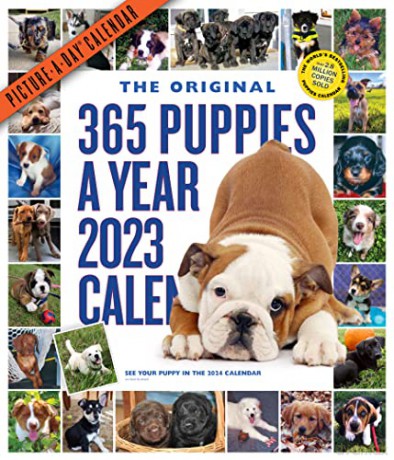 365 Puppies-A-Year Picture-A-Day Wall Calendar 2023 [KALENDARZ]
