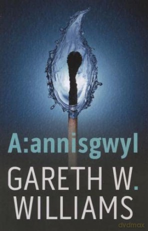 A:Annisgwyl - Gareth W.Williams [KSIĄŻKA]