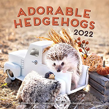 Adorable Hedgehogs 2022: 16-Month Calendar - September 2021 through December 2022 [KALENDARZ]