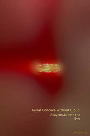 Aerial Concave Without Cloud - Sueyeun Juliette Lee [KSIĄŻKA]