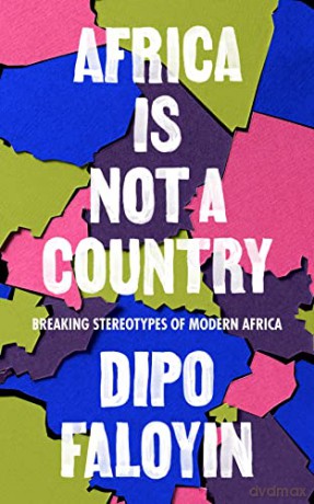 Africa Is Not A Country: Breaking Stereotypes of Modern Africa - Dipo Faloyin [KSIĄŻKA]