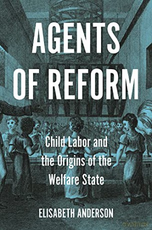 Agents of Reform: Child Labor and the Origins of the Welfare State (Princeton Studies in Global and Comparative Sociology) - Elisabeth Anderson [KSIĄŻKA]
