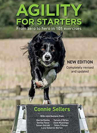 Agility For Starters: From zero to hero in 101 exercises - Connie Sellers [KSIĄŻKA]