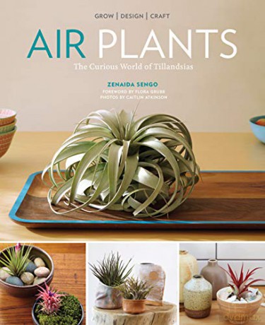 Air Plants: The Curious World of Tillandsias - Zenaida Sengo [KSIĄŻKA]