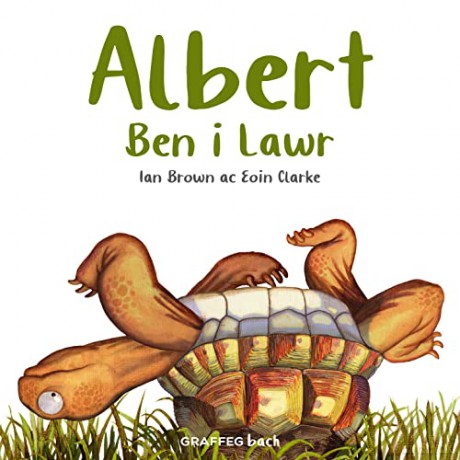 Albert Ben i Lawr: 1 - Ian Brown [KSIĄŻKA]