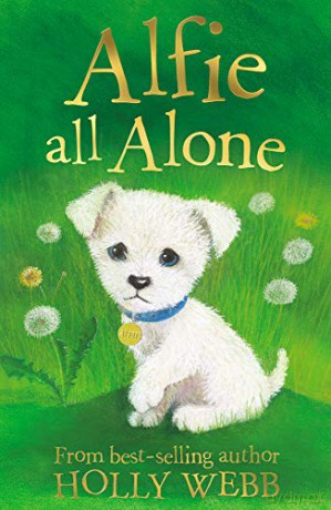 Alfie All Alone: 2 (Holly Webb Animal Stories (2)) - Holly Webb [KSIĄŻKA]