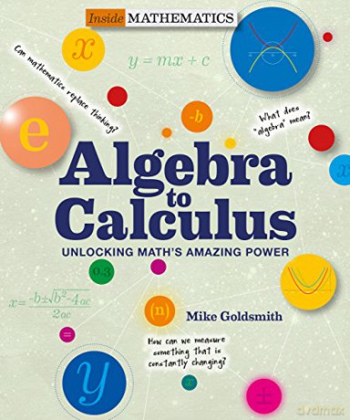 Algebra to Calculus: Unlocking Math's Amazing Power (Inside Mathematics) - Mike Goldsmith [KSIĄŻKA]