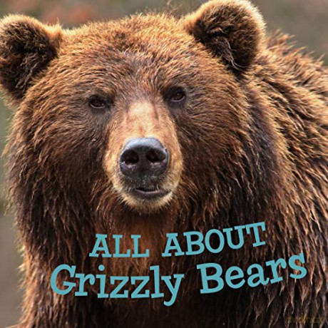 All about Grizzly Bears: English Edition (Nunavummi) - Jordan Hoffman [KSIĄŻKA]
