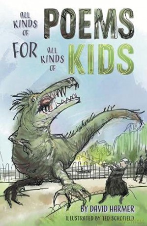 All Kinds of Poems for All Kinds of Kids - David Harmer and illustrated by Ted Schofield [KSIĄŻKA]